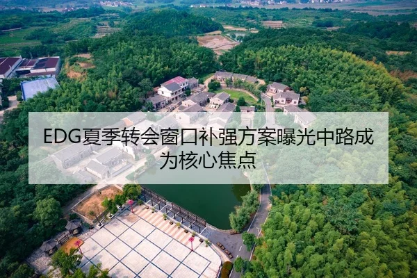 EDG夏季转会窗口补强方案曝光中路成为核心焦点