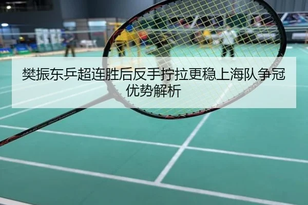 樊振东乒超连胜后反手拧拉更稳上海队争冠优势解析
