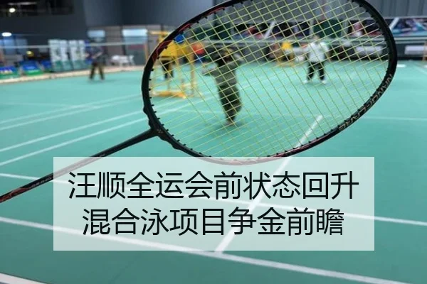 汪顺全运会前状态回升 混合泳项目争金前瞻