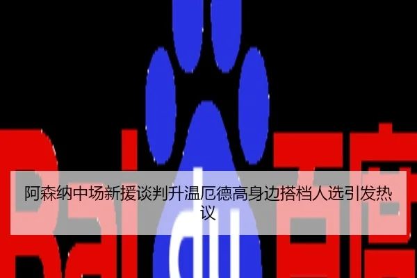 阿森纳中场新援谈判升温厄德高身边搭档人选引发热议